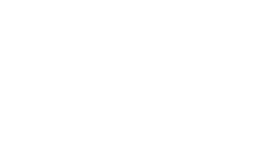 SoulChampion